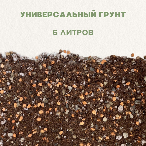 Готовый грунт для фикусов , хамедореи, пальмовых, драцены и других ...