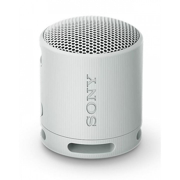 Беспроводная колонка Sony SRS-XB100 - купить по доступным ценам в ...