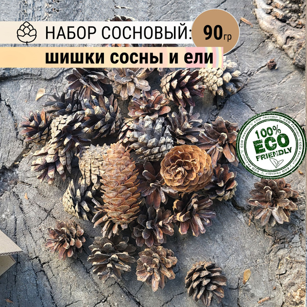 Шишки сосновые для декора, для поделок, для розжига самовара - купить с ...