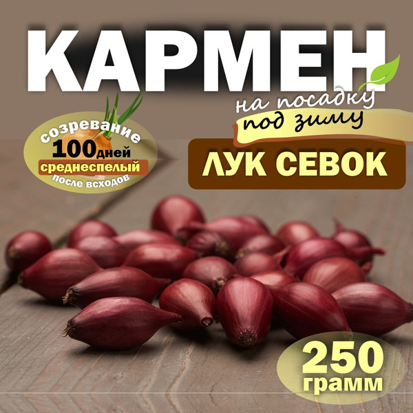 Луковицы Лук, Лук севок Дебют купить по выгодной цене в интернет ...