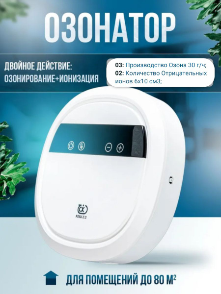 ICAN Озонатор Озонатор купить на OZON по низкой цене (1664331735)