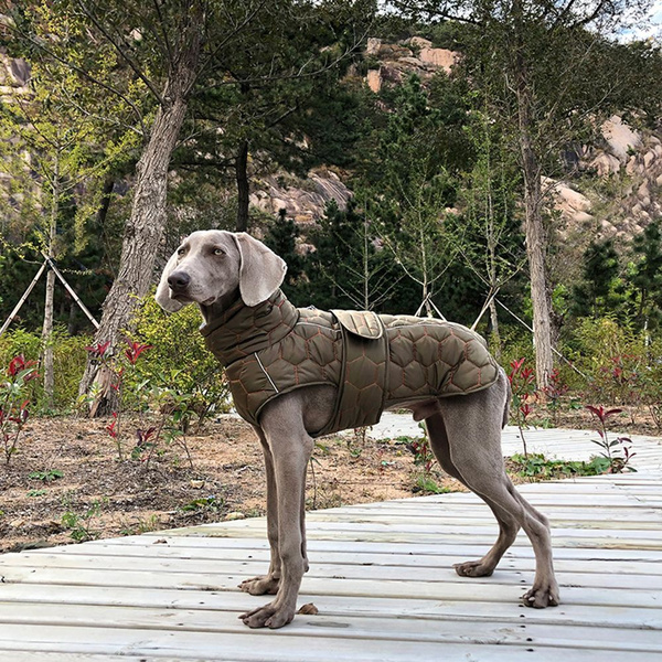Одежда для собак стеганая попона-жилет для собак средних и крупных ...
