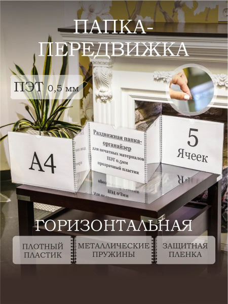 Папка-передвижка горизонтальная А4 на 5 отделений купить на OZON по ...
