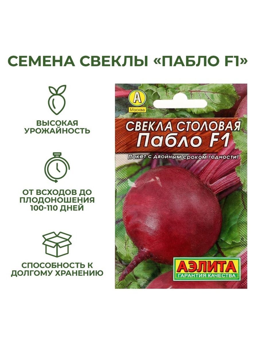 Купить Семена Свеклы Столовой