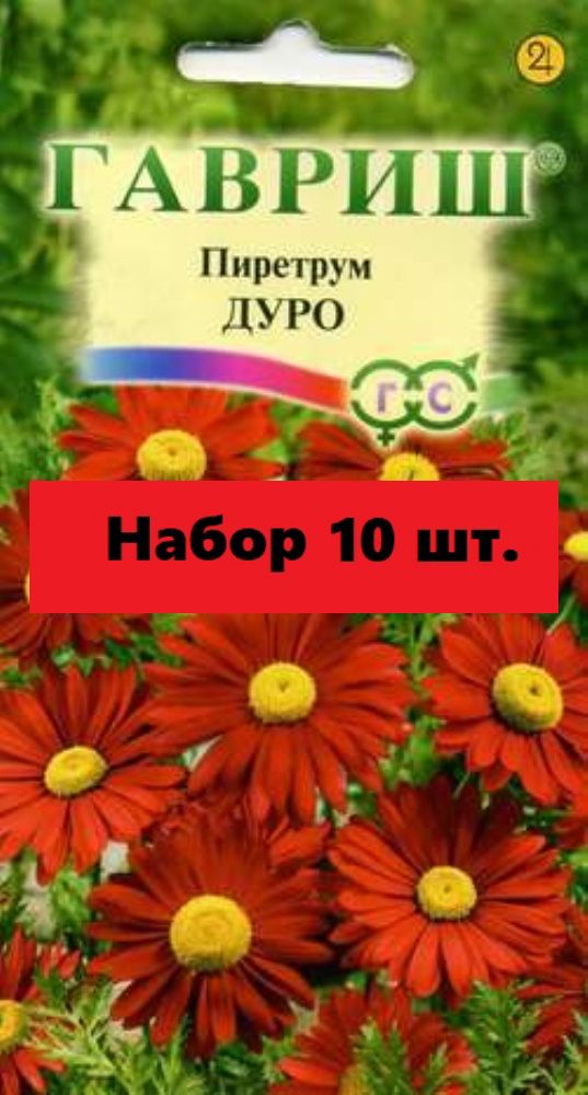 Пиретрум семена фото 31722 - купить по выгодным ценам в интернет-магазине OZON (1431909753)