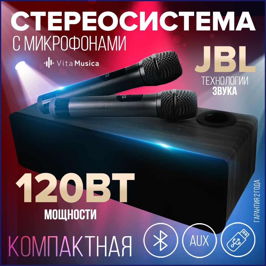 Караоке система для дома с двумя микрофонами Vita Musica - купить с  доставкой по выгодным ценам в интернет-магазине OZON (1469888643)