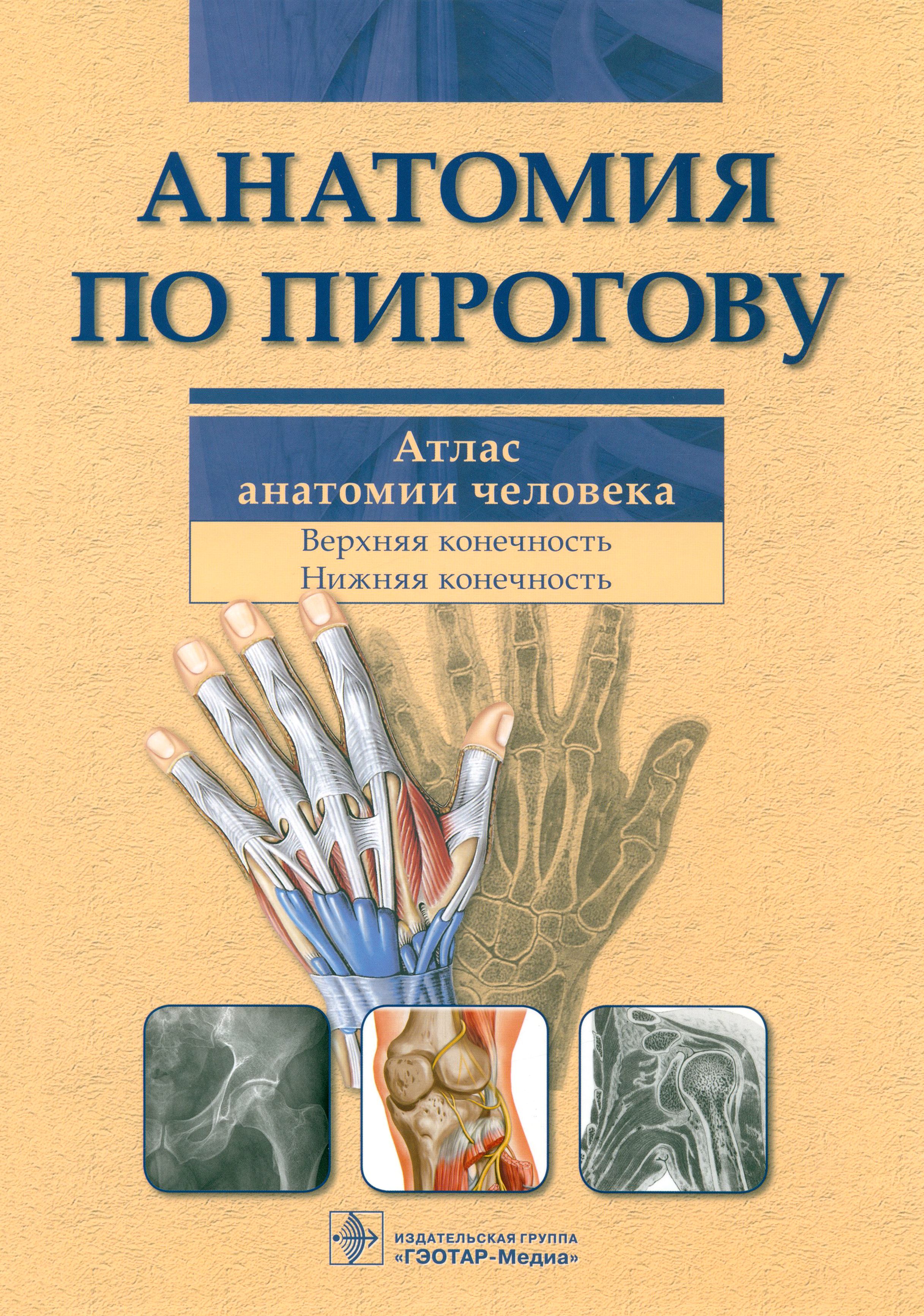 Атлас хирургии и анатомии. Шилкин анатомия по Пирогову.