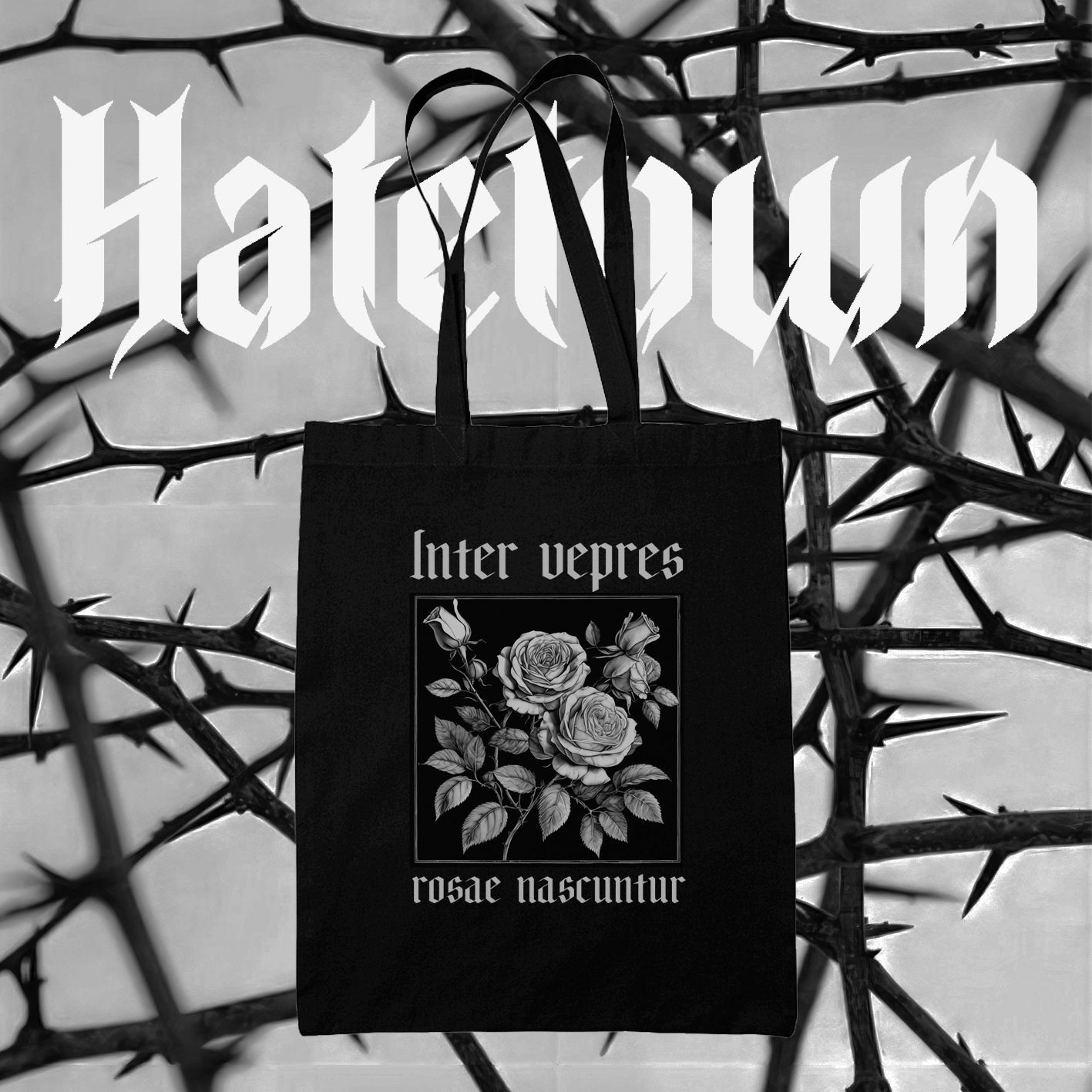 Inter vepres rosae nascuntur