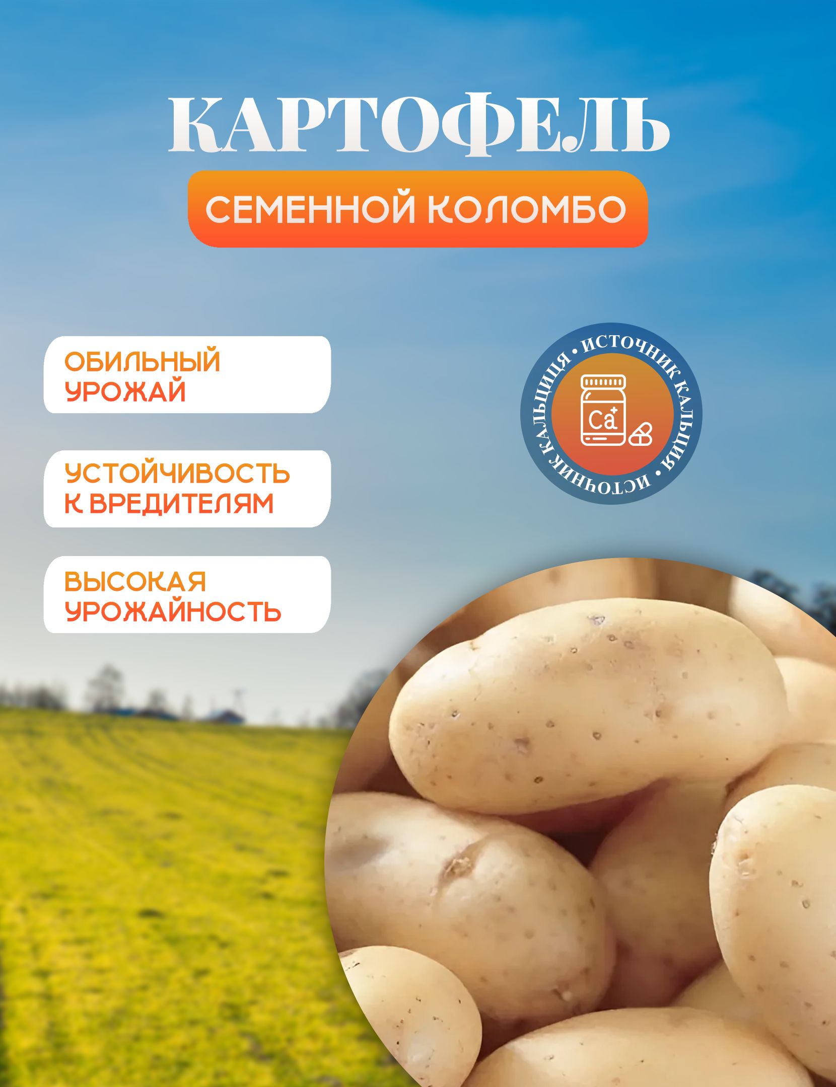 Картофель Коломбо Купить Семена В Москве