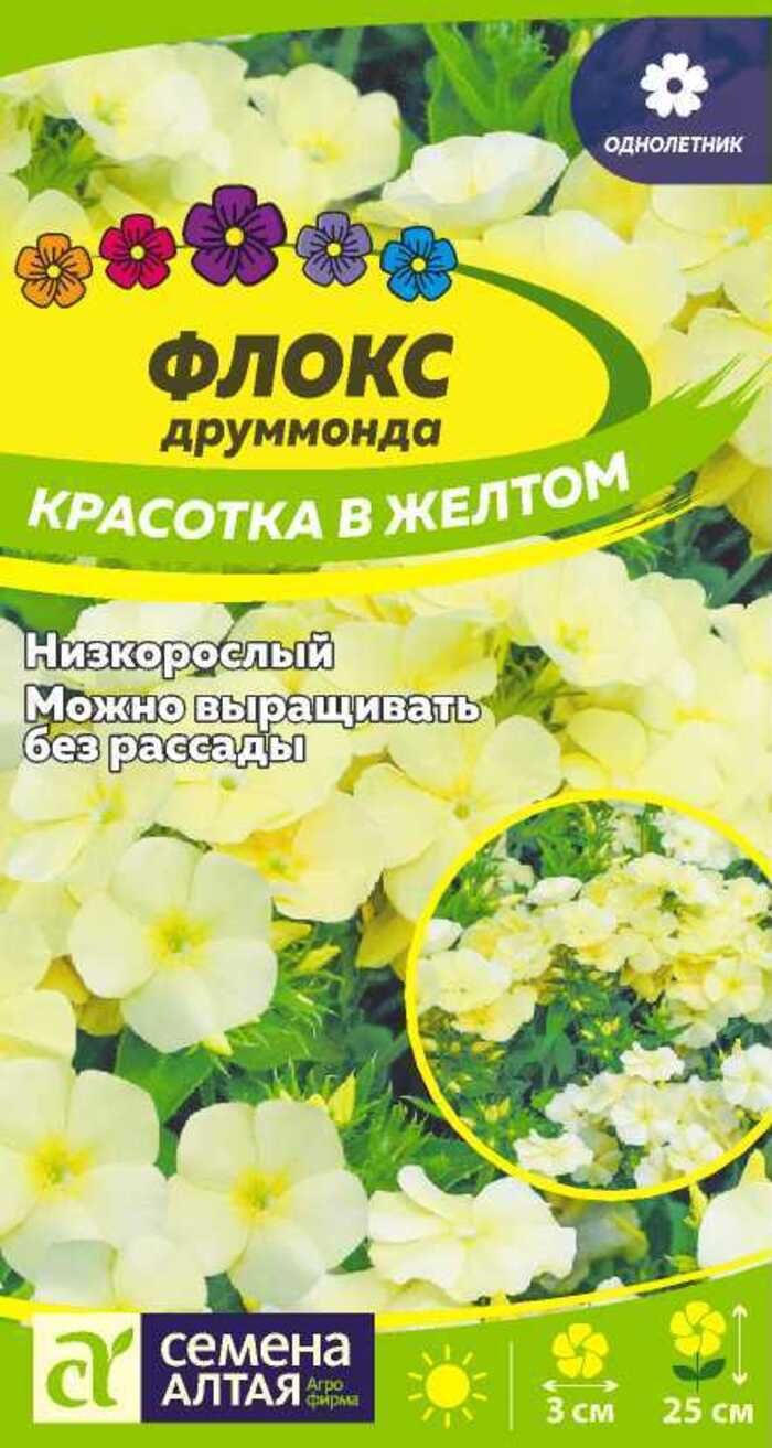 Флоксы Однолетние Купить Семена