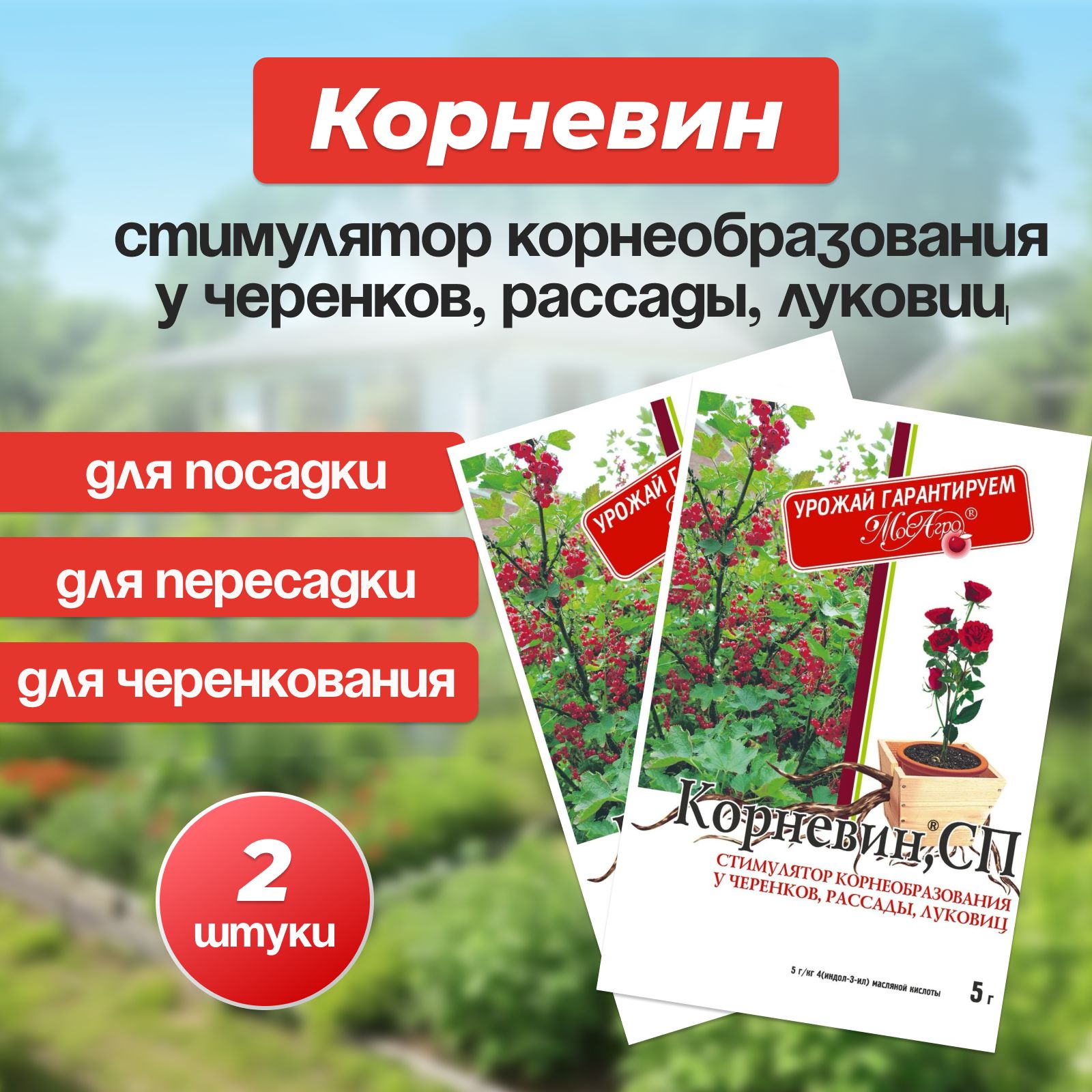 Корневин Стимулятор корнеобразования. Набор 2 пакета по 5г.