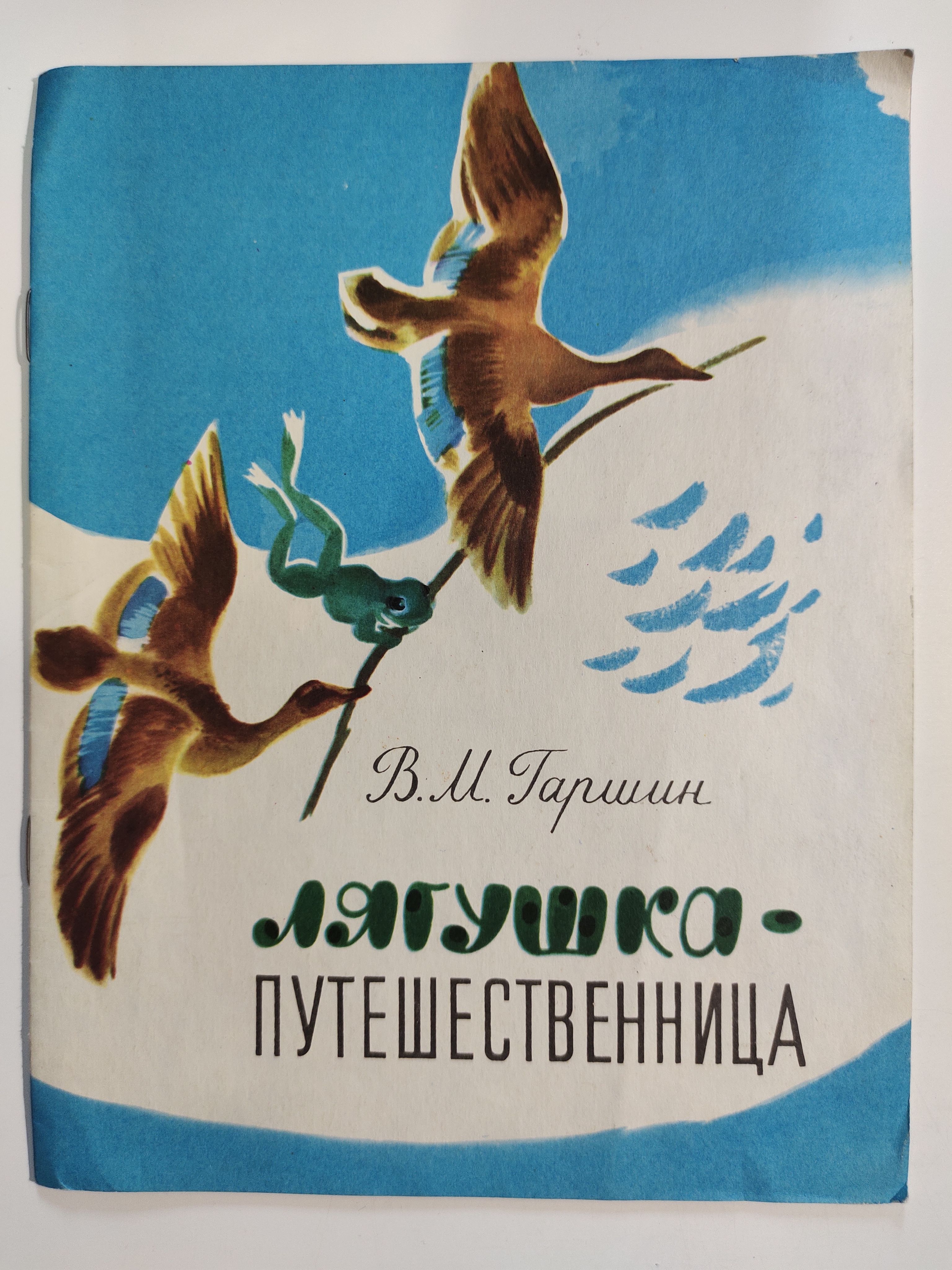 Лягушка-путешественница. Прочитать лягушку путешественницу. Прочитать лягушку путешественницу. Лягушка путешественница книга. Сказка лягушка путешественница гаршин.