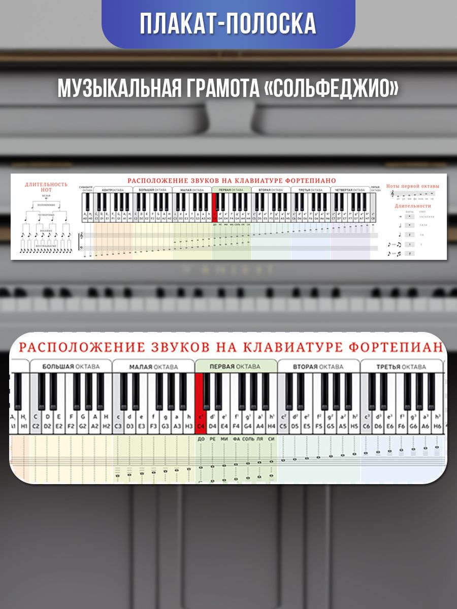 Плакат-полоска музыкальная грамота для музыкальной школы