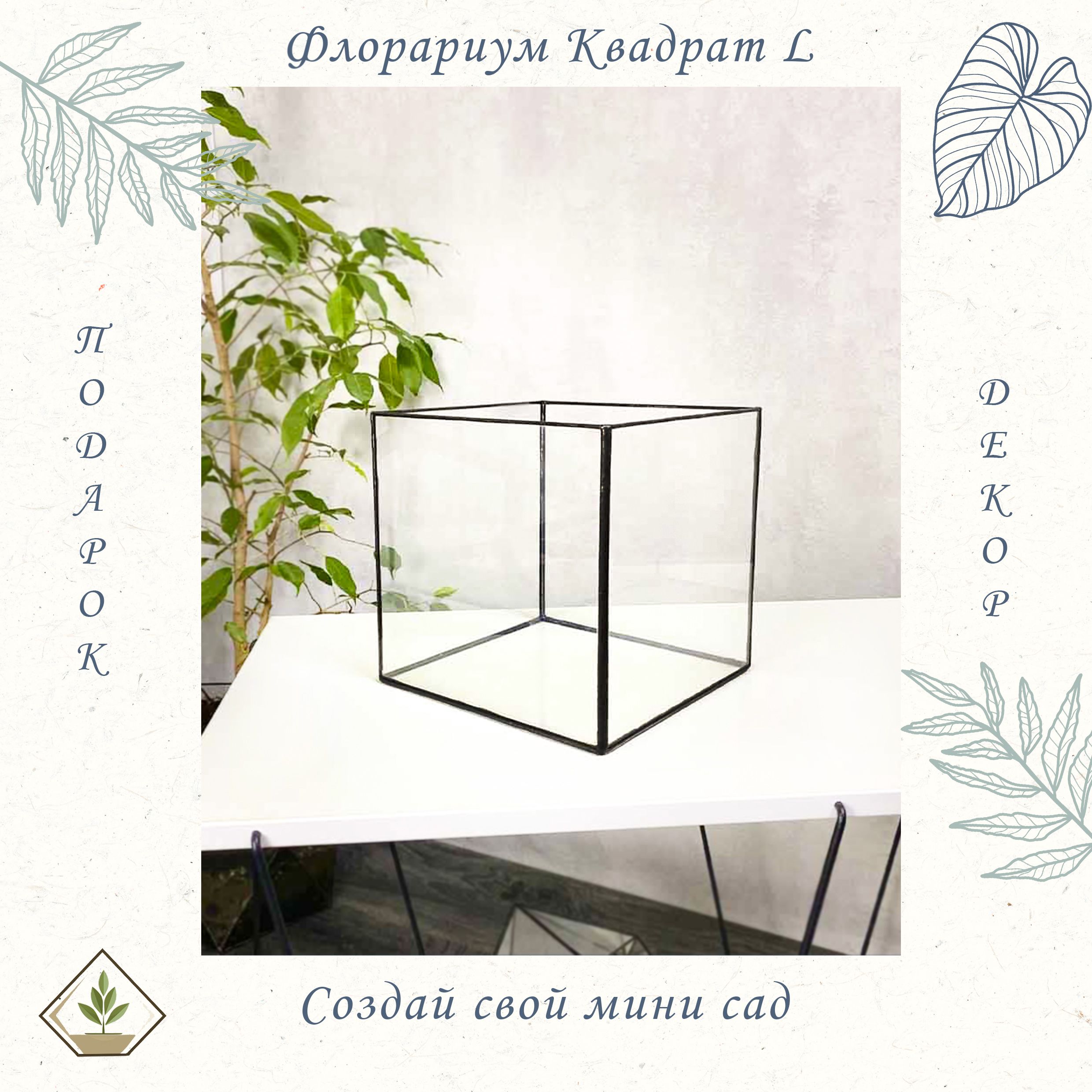 Флорариум, стеклянная ваза Квадрат L (large, большой) 20*20 см.