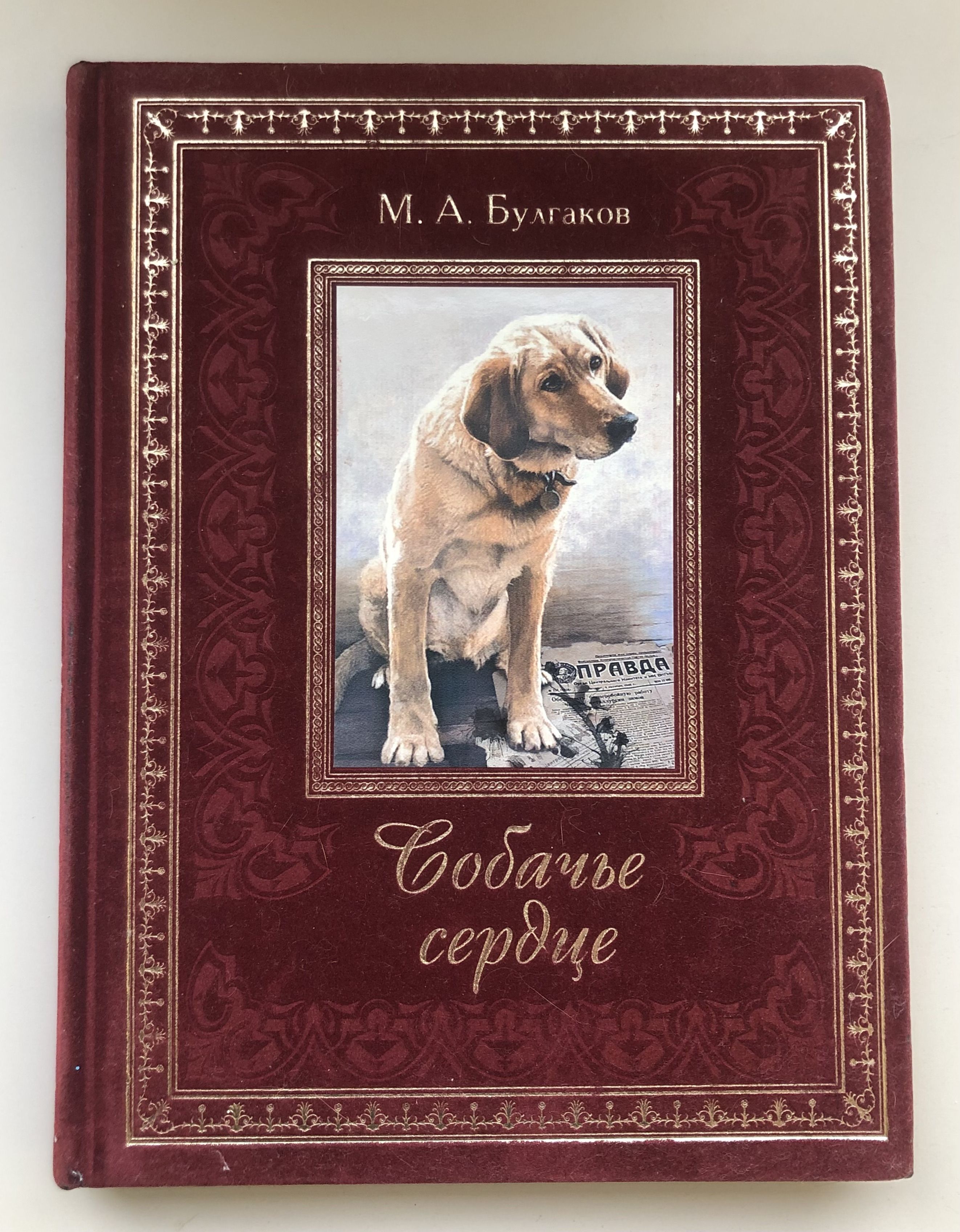 Собачьи книги. Собачье сердце обложка книги