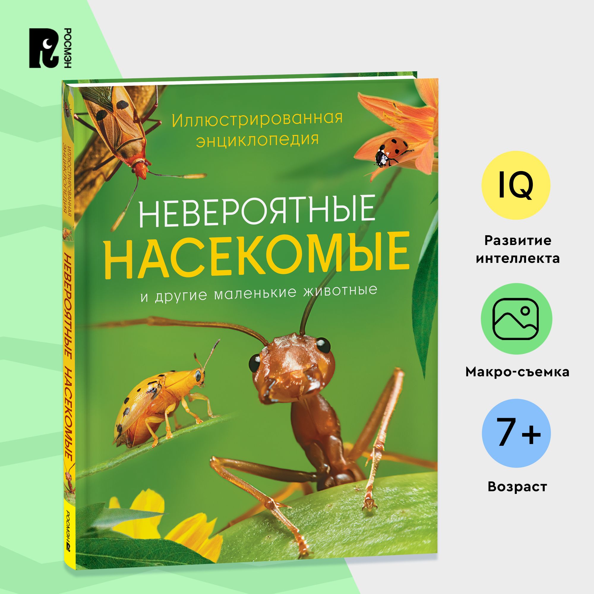 Невероятные насекомые. Иллюстрированная энциклопедия