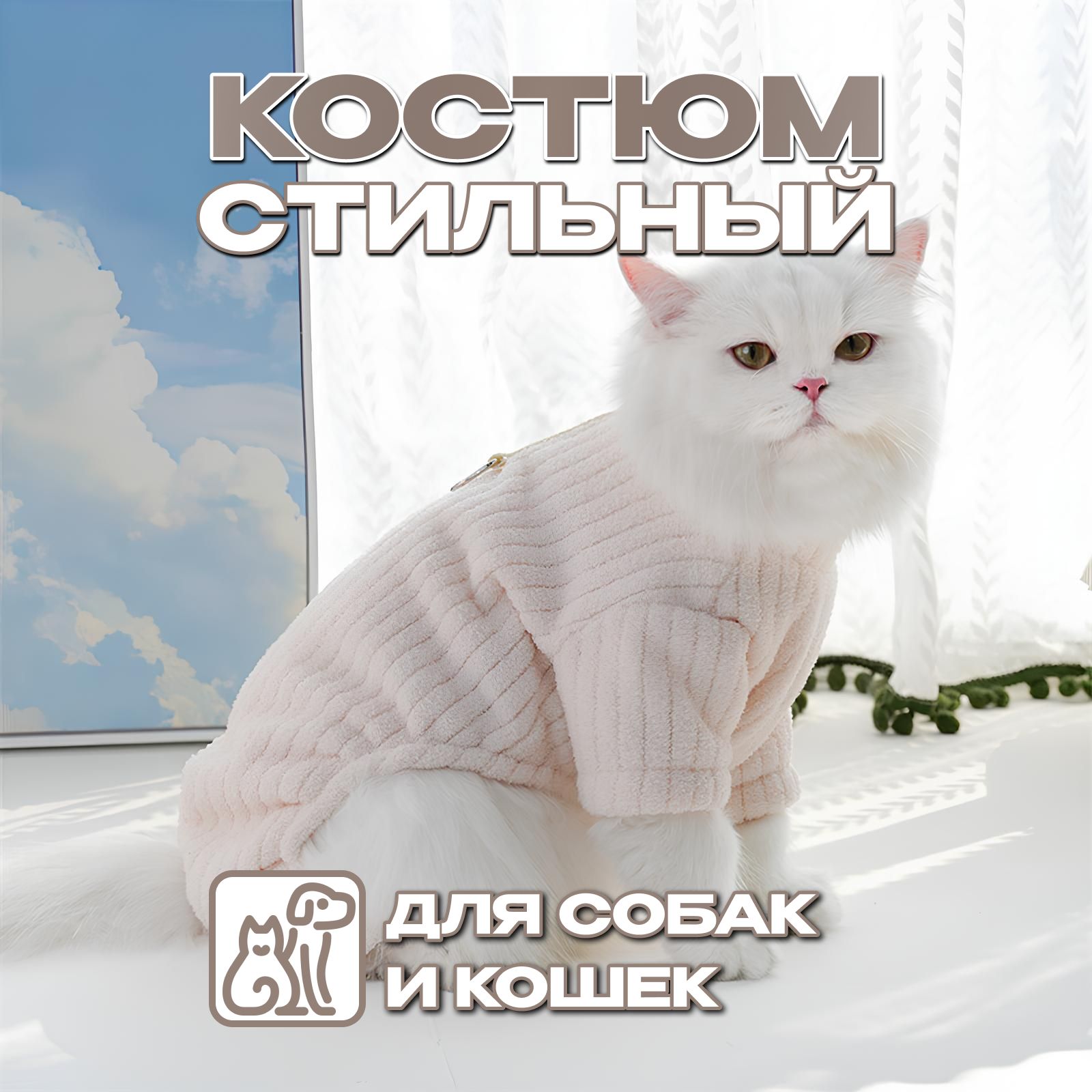 Костюм толстовка для собак и кошек стильный