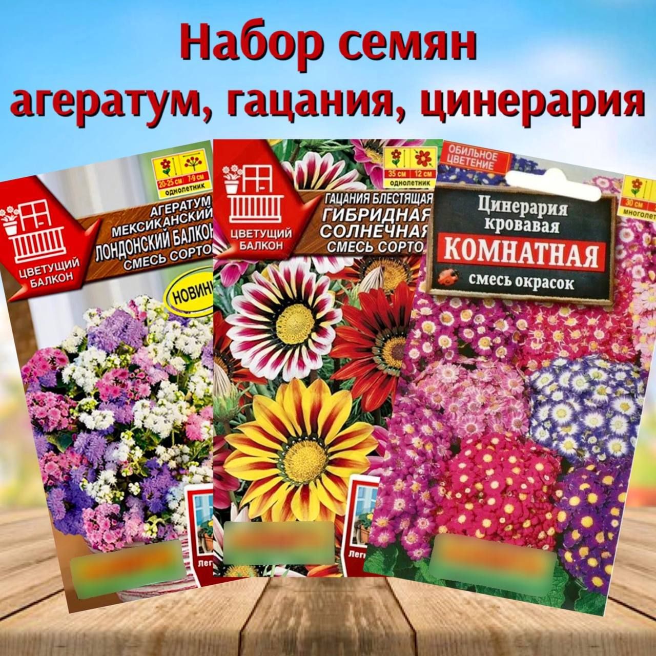Цинерария Гибридная Купить Семена