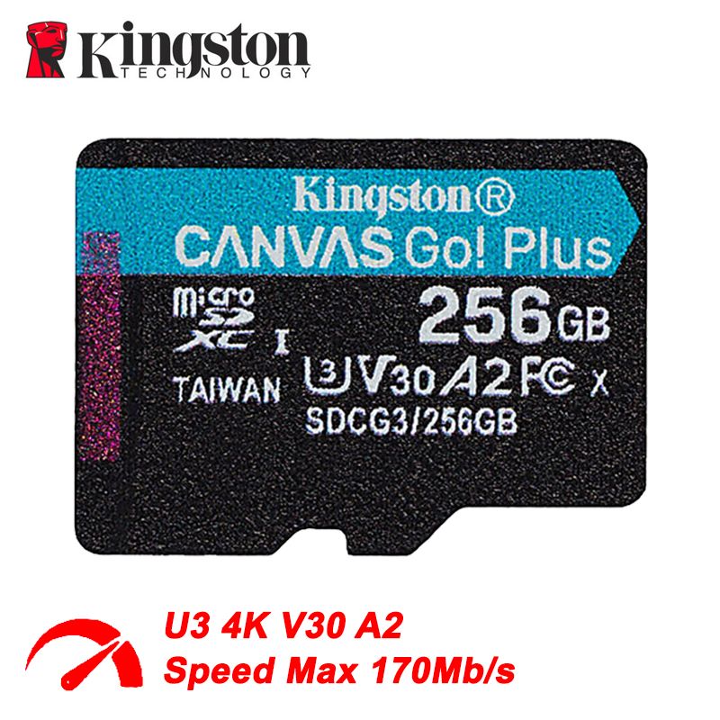 Kingston Карта памяти Canvas GO Plus 256 ГБ (SDCG3/256GB)