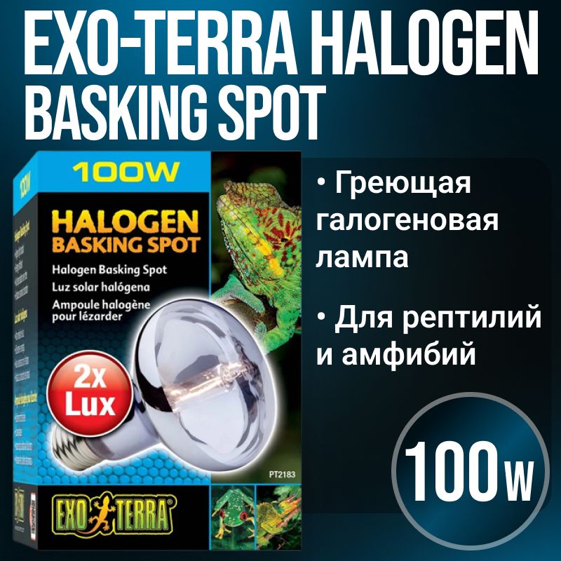 Греющая лампочка Exo Terra (экзо терра) HALOGEN BASKING SPOT для террариума, лампа обогрева для рептилий, черепах, амфибий, улиток 100w