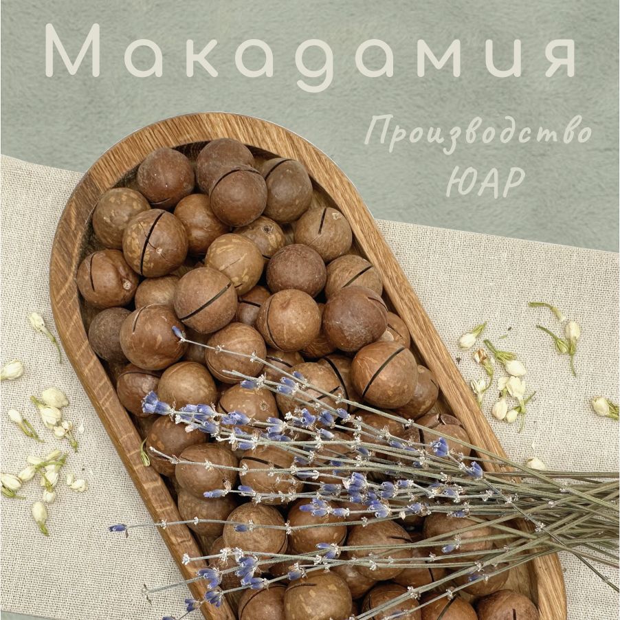 Макадамия (орехи в скорлупе с ключом) 900 гр. BelkaFoods