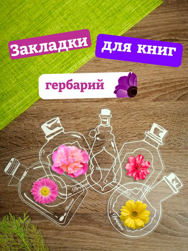 Гербарий, креативная закладка из сухоцветов