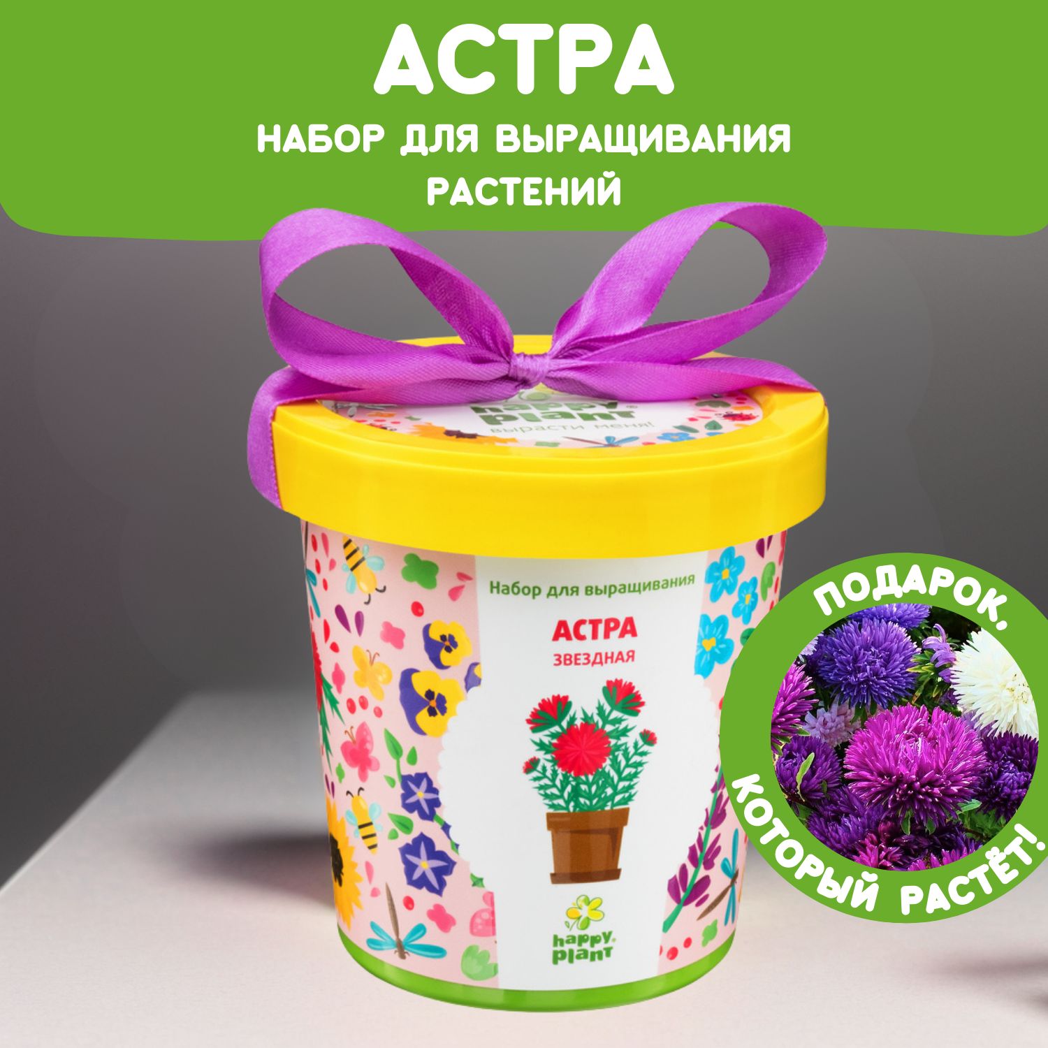 Набор для выращивания растений Happy Plant Астра звездная