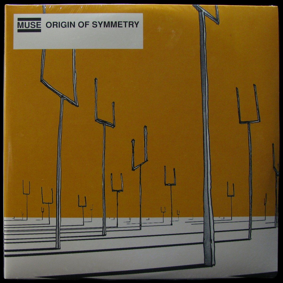 Muse origin of country. Muse origin of country. Origin of symmetry cd. Muse origin of symmetry обложка. Обложки muse origin.