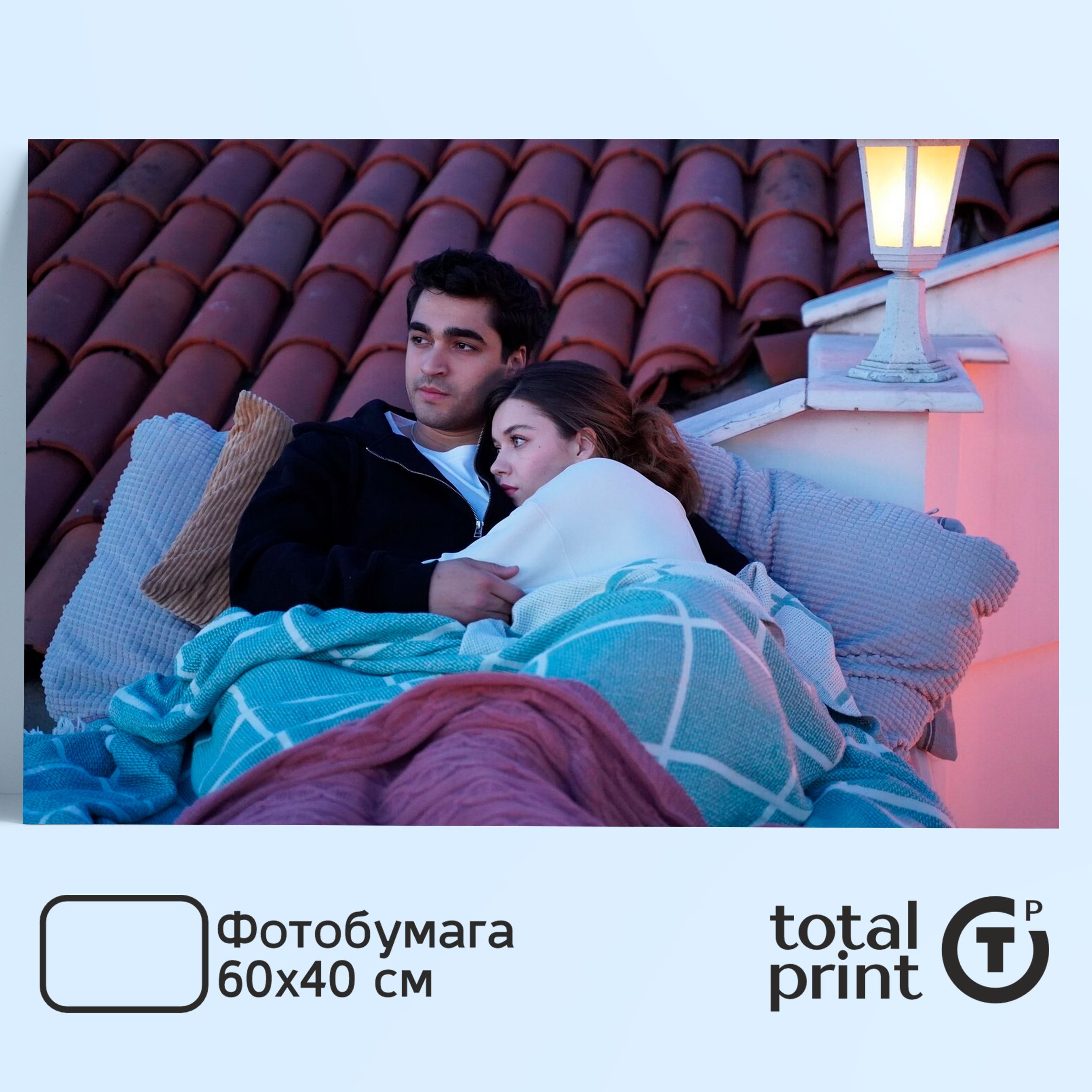 TotalPrint Постер для интерьера, Зимородок, 60х40см.