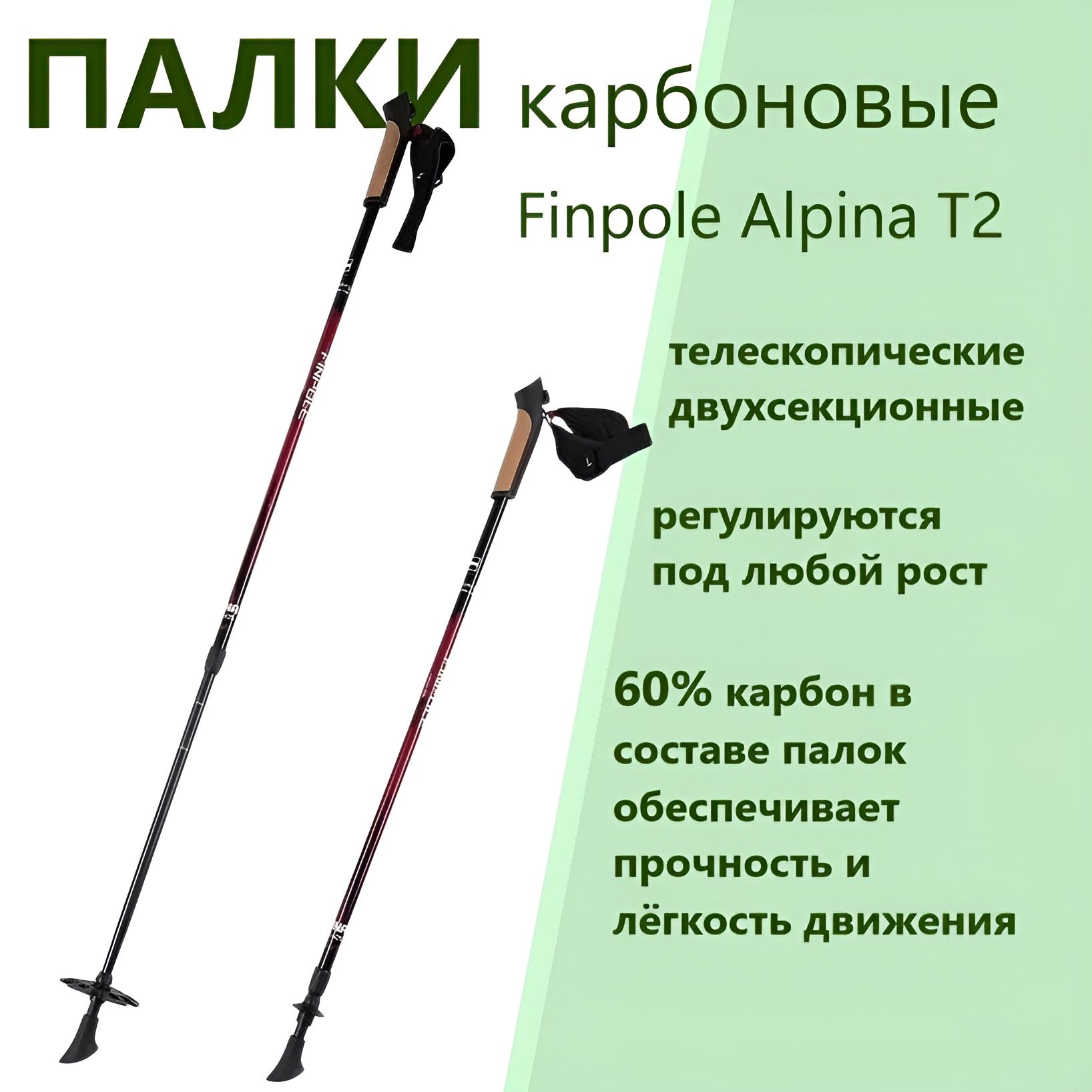 Палки для скандинавской ходьбы Finpole Alpina T2 60% carbon, карбоновые 2-секционные