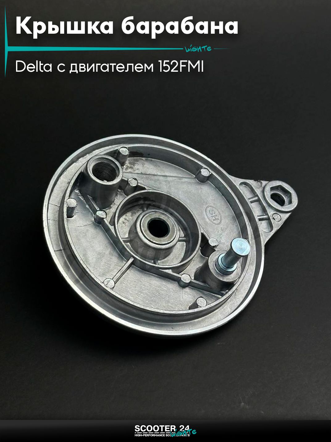 Крышка барабана тормозного (зад) на мопед и мотоцикл Delta / Дельта с двигателем 152FMI голая d12 "LIPAI"