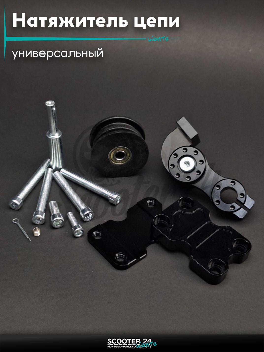 Натяжитель цепи трансмиссии (успокоитель) универсальный роликовый