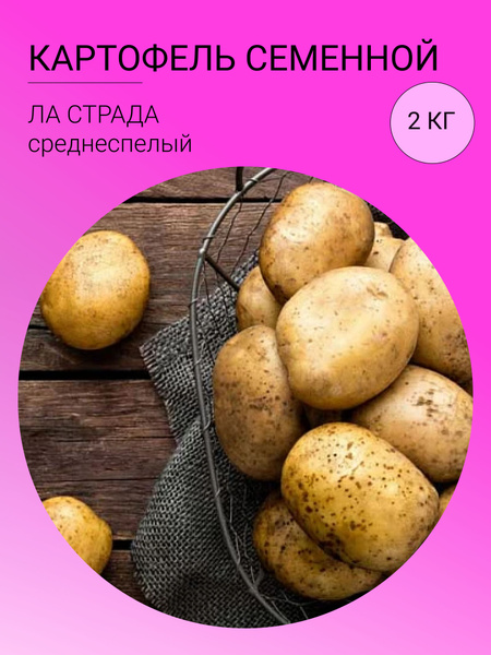 Картофель семенной картофель 2 кг_Ла Страда - купить по выгодным ценам ...