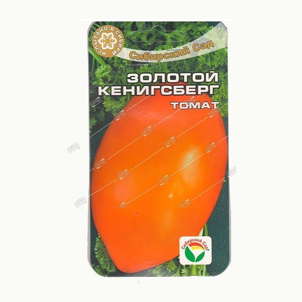 Сорт помидоров золотой кенигсберг фото Семена2688 - купить по выгодным ценам в интернет-магазине OZON (1454145592)