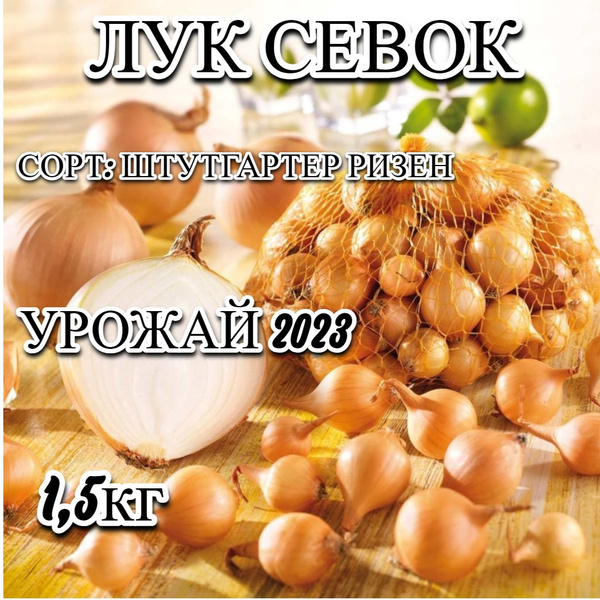 Лук севок, Лук Лук севок - купить по выгодным ценам в интернет-магазине ...
