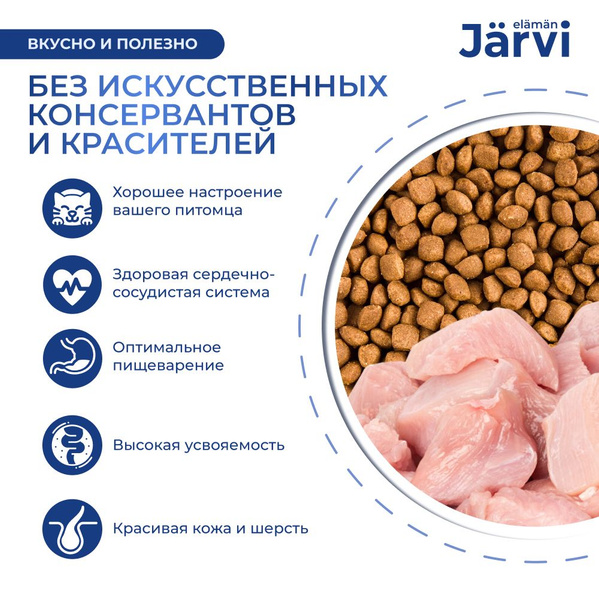 Jarvi корм для собак отзывы