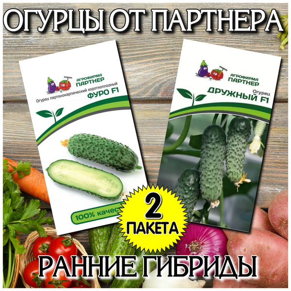 Огурцы Агрофирма Партнер Огурец - купить по выгодным ценам в интернет ...