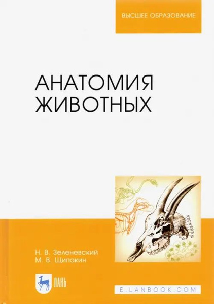 Анатомия животных. Учебник - купить с доставкой по выгодным ценам в ...