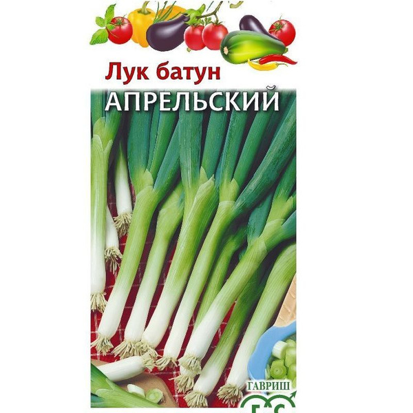 Батун апрельский лук