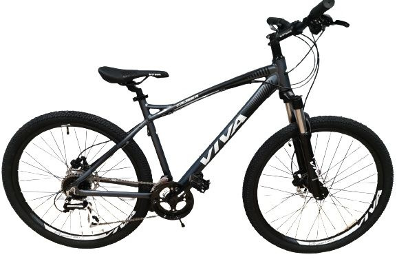 Велосипед VIVA Cruiser 26 26 дюйм 2022 18 дюймов серый - купить по ...