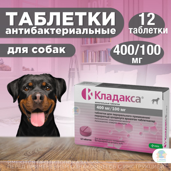 KRKA Кладакса жевательные таблетки для лечения инфекционных заболеваний ...