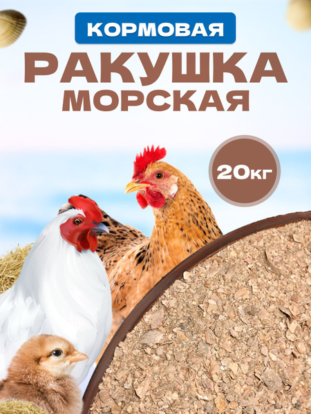Ракушка морская кормовая для кур несушек добавка в корм птиц - купить с ...
