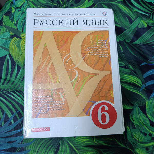 русский язык 6 класс 1 часть Разумовская М.М. Львова с 2019 год ...