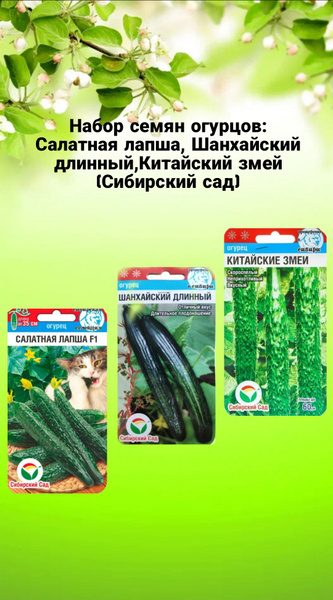 Огурцы овощи_салатная лапша, шанхайский длинный, китайский змей ...