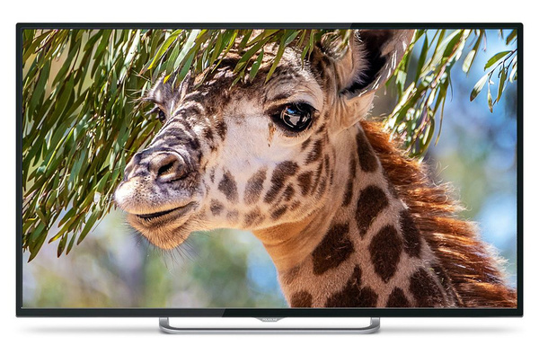 Купить телевизор POLARLINE 50PU11TC-SM 50" - купить с доставкой по ...