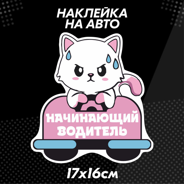 Наклейка на авто Начинающий водитель милая - купить по выгодным ценам в ...