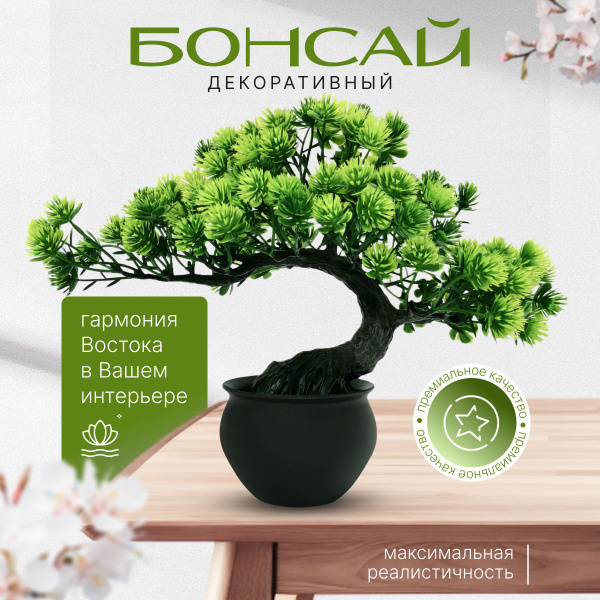 Дерево бонсай декоративное растение для интерьера , зеленое SHANTI ...