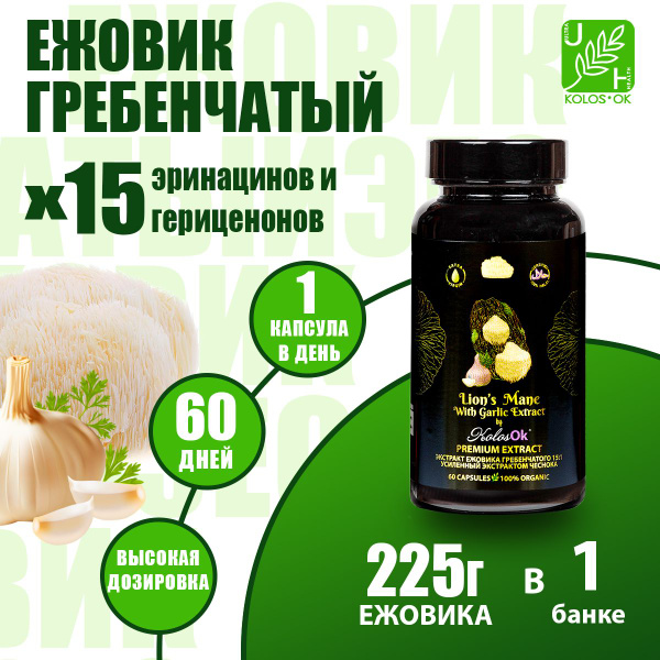 Ежовик Гребенчатый в капсулах - Экстракт 15:1 - купить с доставкой по ...