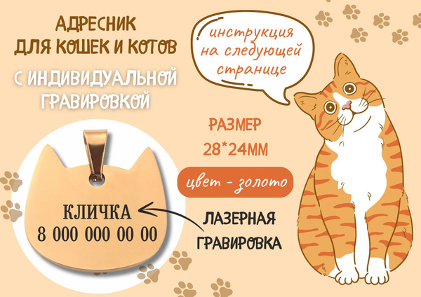 Адресник для кошки и кота с гравировкой (нержавейка с покрытием ...