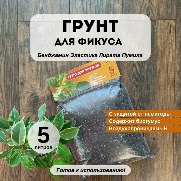 Готовый грунт для фикуса 5 л купить c доставкой на OZON по низкой цене ...